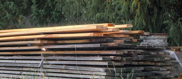 Comment la déforestation impacte-t-elle le changement climatique ?